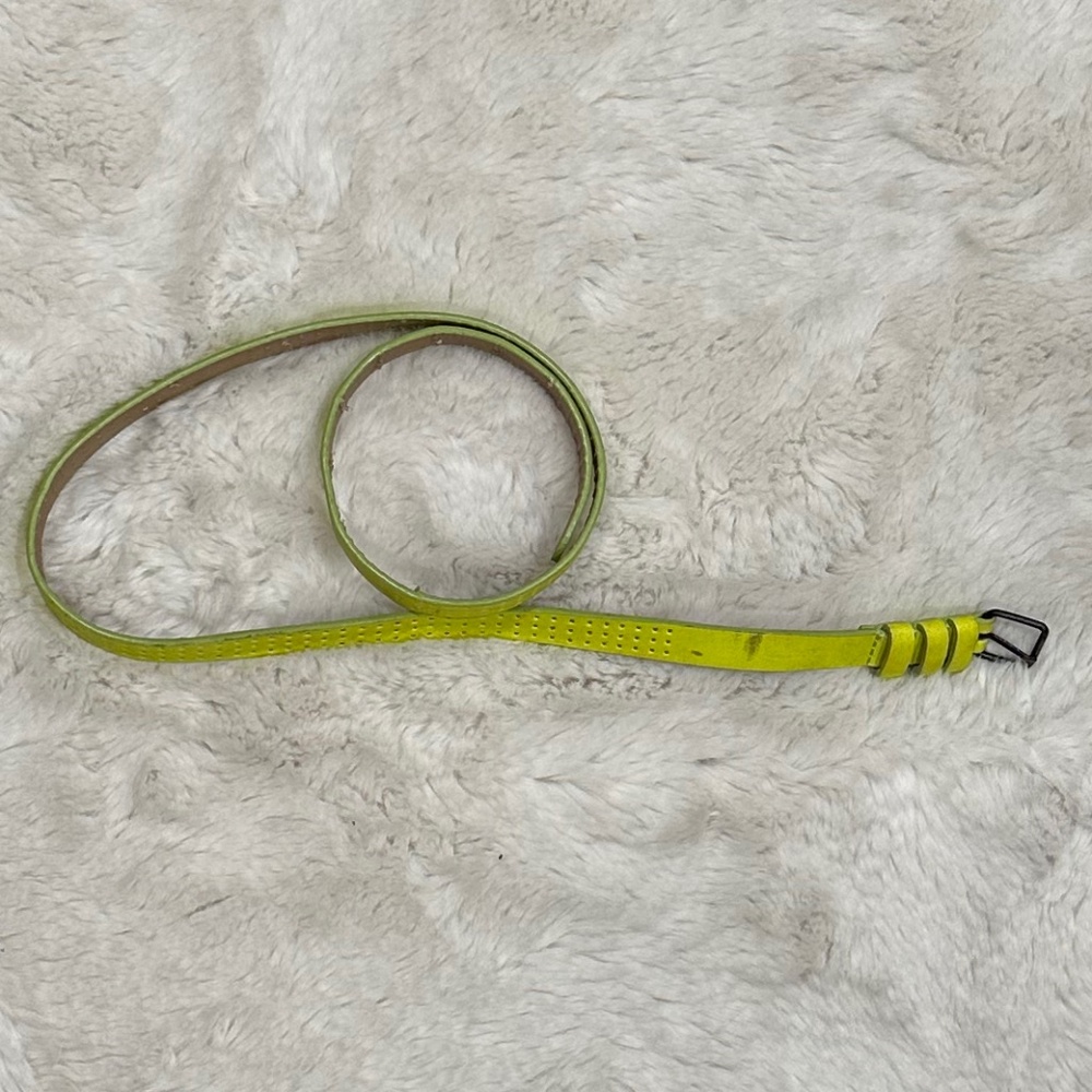 Woman's Skinny Belt 36"